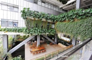 深圳绿房子越来越多-BIM建筑网