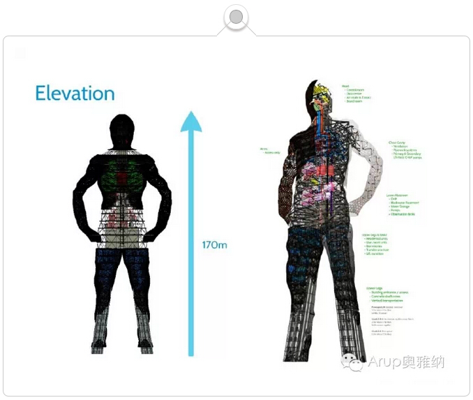 ProjectOVE: 模拟人体构造，展示BIM潜力