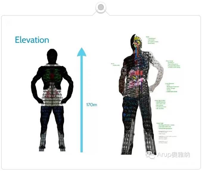 ProjectOVE: 模拟人体构造，展示BIM潜力