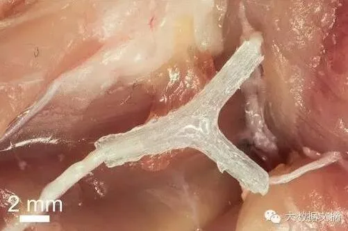 十张图看懂3D打印未来