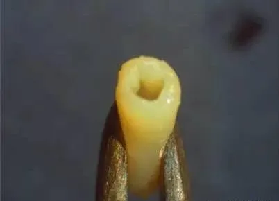十张图看懂3D打印未来