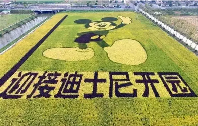 史上最全的上海迪斯尼乐园设计细节曝光