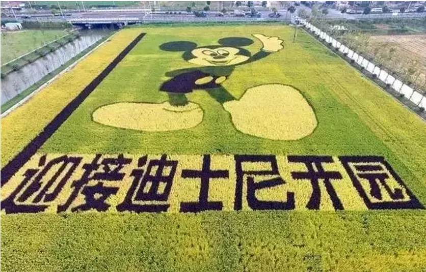史上最全的上海迪斯尼乐园设计细节曝光