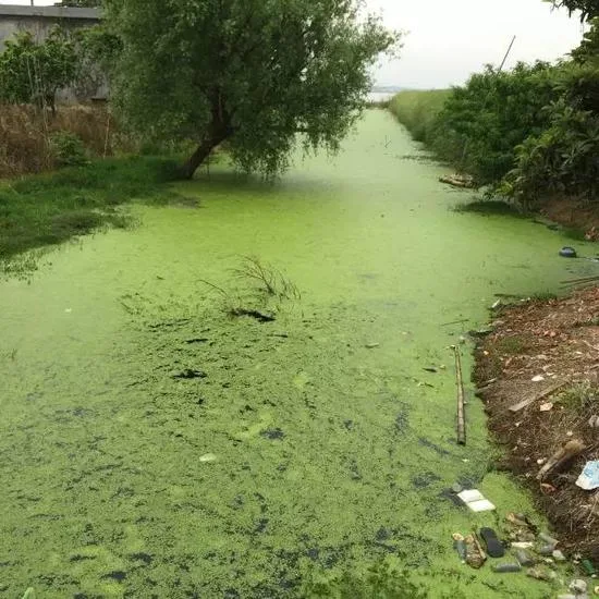 中国缺少，请珍惜水资源！鄱阳湖还要防火