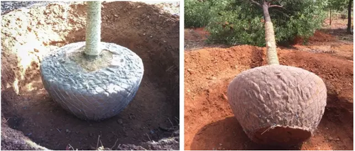 迪士尼施工用的这50种工具,想超越还得多“修炼”N年 迪士尼施工用的这50种工具,想超越还得多“修炼”N年