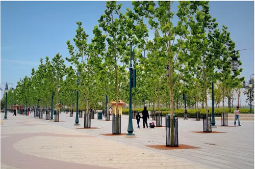 迪士尼施工用的这50种工具,想超越还得多“修炼”N年 迪士尼施工用的这50种工具,想超越还得多“修炼”N年