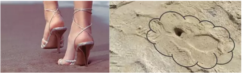 哈尔滨万达茂室内滑雪场结构设计难点解析