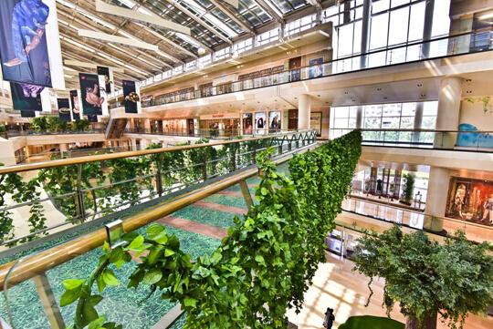 探索内心的亚马逊 金融街购物中心寻找失落的遇见