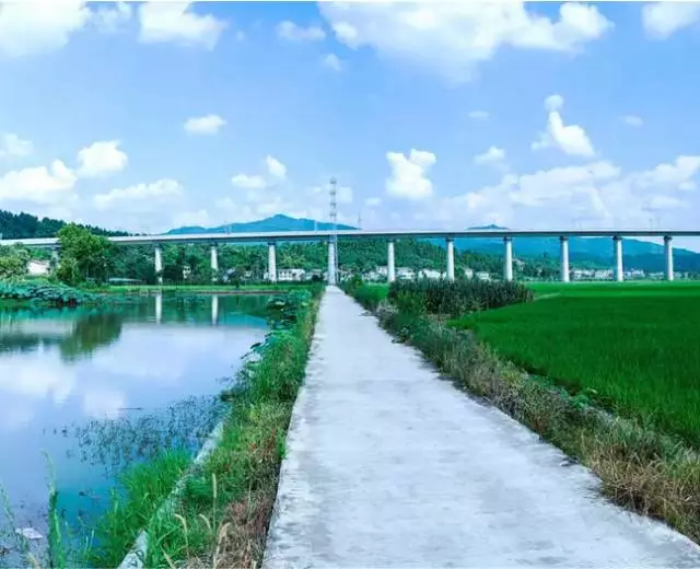 【BIM应用】BIM助力西成客专,天堑变通途 BIM视界 第3张-BIM建筑网 【BIM应用】BIM助力西成客专,天堑变通途 BIM视界 第3张