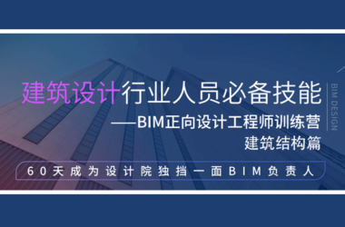 BIM建筑设计BIM方案施工图阶段Revit培训视频教适合建筑结构专业学习-BIM建筑网