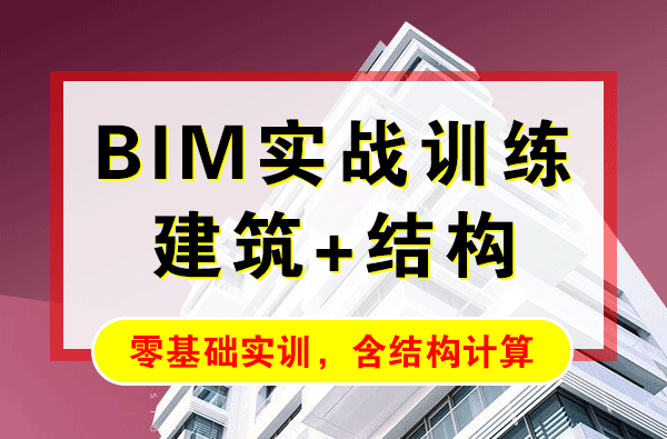 结构专业BIM+建筑专业BIM设计培训 多层办公厂房BIM案例 建筑结构培训视频教程