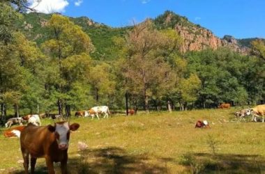 装配式|改变中的住房发展模式对建筑业的影响-BIM建筑网