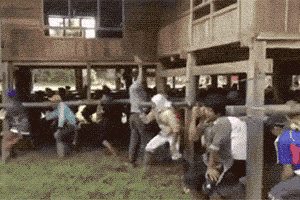 装配式|可折叠的房子，六小时就盖好，还能打包带走-BIM建筑网