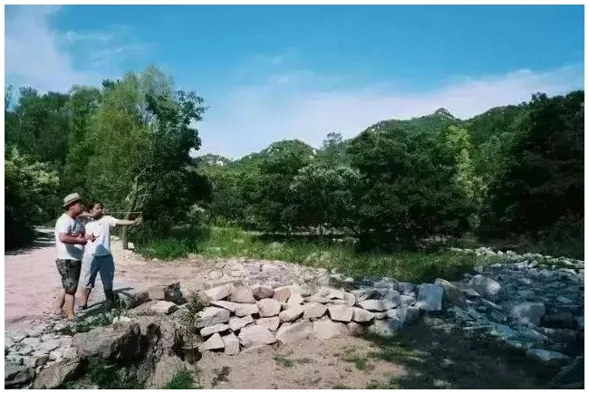 装配式|四个老男孩租下2500亩山谷 用集装箱搭出桃花源地 