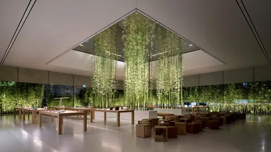 BIM|福斯特公开在澳门设计的苹果店