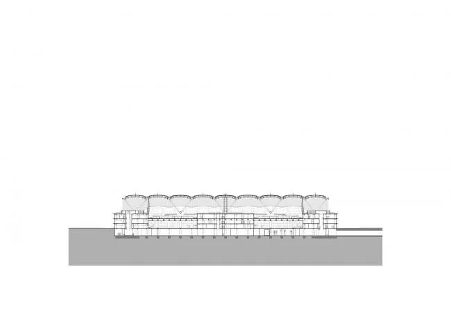 BIM建筑|珠澳年夜桥喷鼻口岸岸旅检年夜楼 / RSHP + Aedas