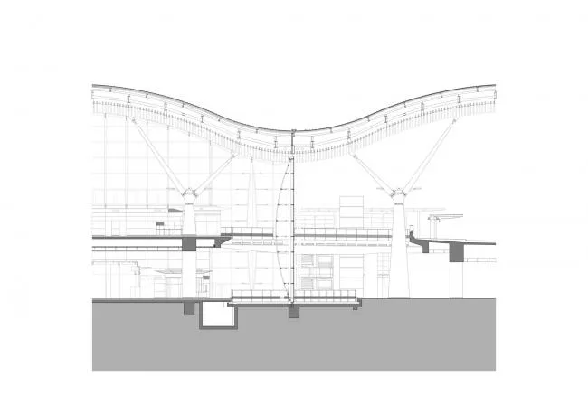 BIM建筑|珠澳年夜桥喷鼻口岸岸旅检年夜楼 / RSHP + Aedas