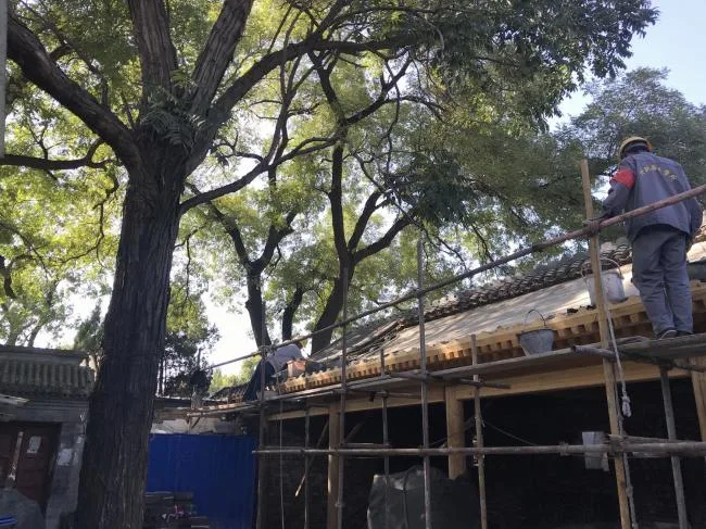 BIM建筑|“胡同智造”——四合院改革设计的实践