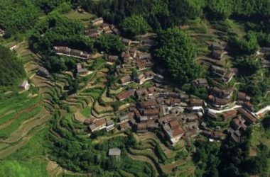 BIM建筑|飞蔦集 • 松阳陈家展，浙江 / gad · line+ studio-BIM建筑网