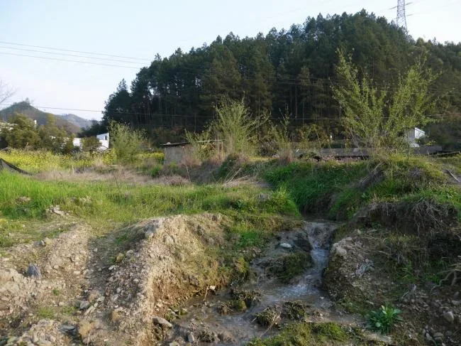 BIM建筑|溪边栖居水月馆——景德镇三宝蓬陶瓷设计中间