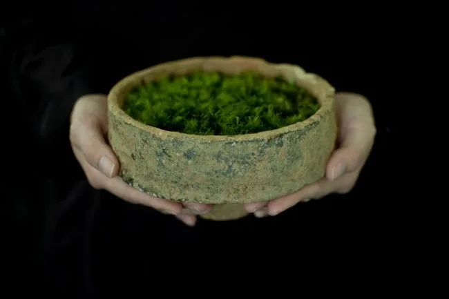 BIM建筑|溪边栖居水月馆——景德镇三宝蓬陶瓷设计中间