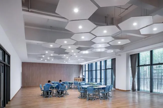 BIM建筑|嵌套的多彩盒子：华中师范年夜学从属龙园黉舍 / 筑博设计-结合公设 + H DESIGN