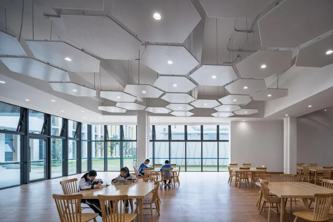 BIM建筑|嵌套的多彩盒子：华中师范年夜学从属龙园黉舍 / 筑博设计-结合公设 + H DESIGN