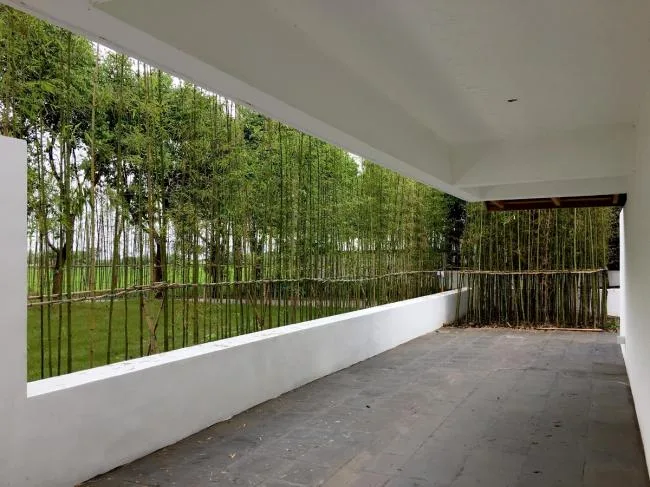 BIM建筑|从雕塑到花圃——江苏昆山计家墩村平易近中间改革
