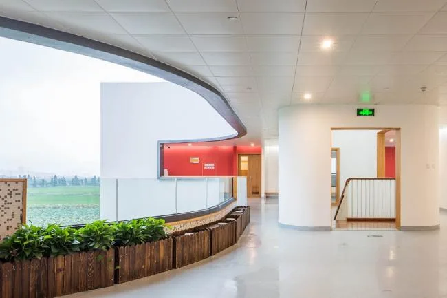 BIM建筑|孩子们的建筑玩伴—浙江“风车”幼儿园