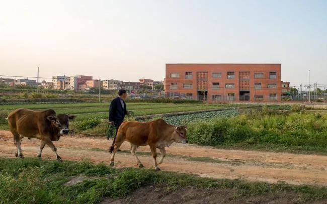 BIM建筑|厦门 / 孩子们在敞亮流利的中庭内肆意地奔驰 —— 新南幼儿园