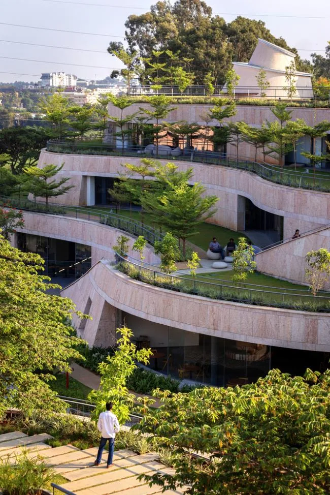 BIM建筑|仿若身处绿色稻田办公，科技彰显天然气力的泰坦办公中间
