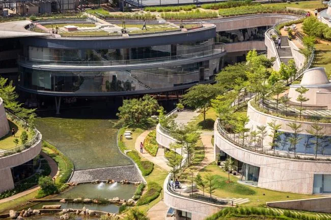 BIM建筑|仿若身处绿色稻田办公，科技彰显天然气力的泰坦办公中间