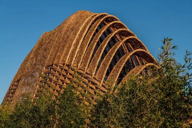 BIM建筑|似山脉更似殿堂，天然性与典礼感并存的台湾竹之亭