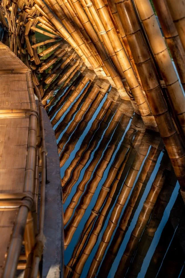 BIM建筑|似山脉更似殿堂，天然性与典礼感并存的台湾竹之亭
