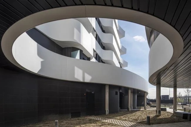 BIM建筑|自由曲线修建的白色雕塑：湖畔天台公寓