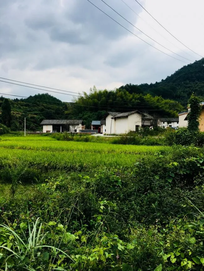 BIM建筑|栖于山麓——乡建新平易近居摸索 | 铭鼎空间艺术工作室
