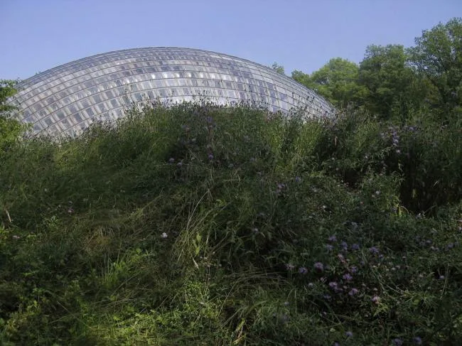 BIM建筑|一颗嵌进年夜地的琉璃鹅卵石——比利时品牌木材产业基地
