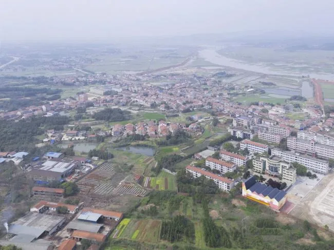 BIM建筑|岳阳县第三中学风雨操场兼陈述厅 / SUP素朴建筑工作室