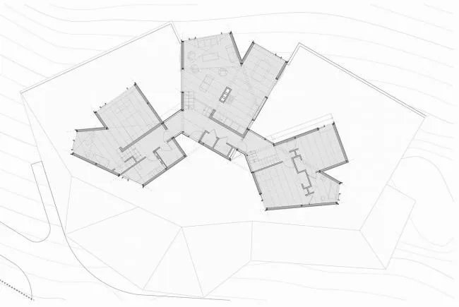 BIM建筑|染上了时光的印记——“老化”的美感：智利橡树室第