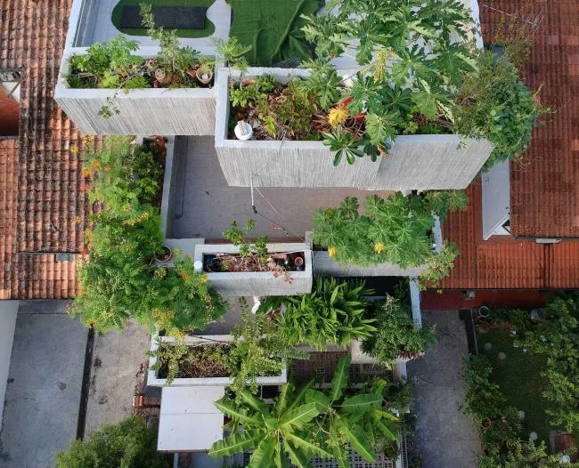BIM建筑|马来西亚植物盒室第 / Formzero