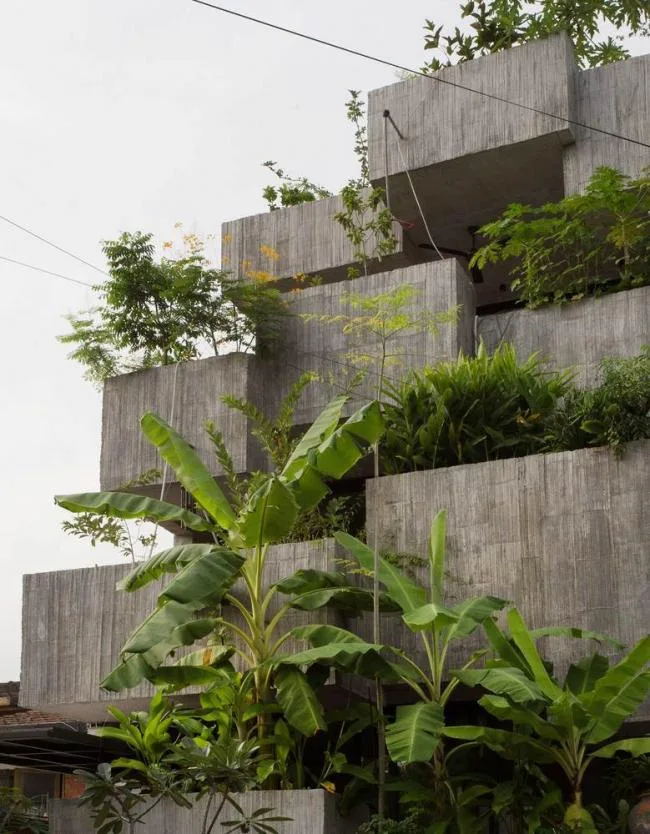 BIM建筑|马来西亚植物盒室第 / Formzero