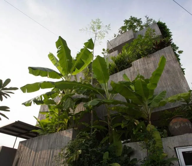 BIM建筑|马来西亚植物盒室第 / Formzero