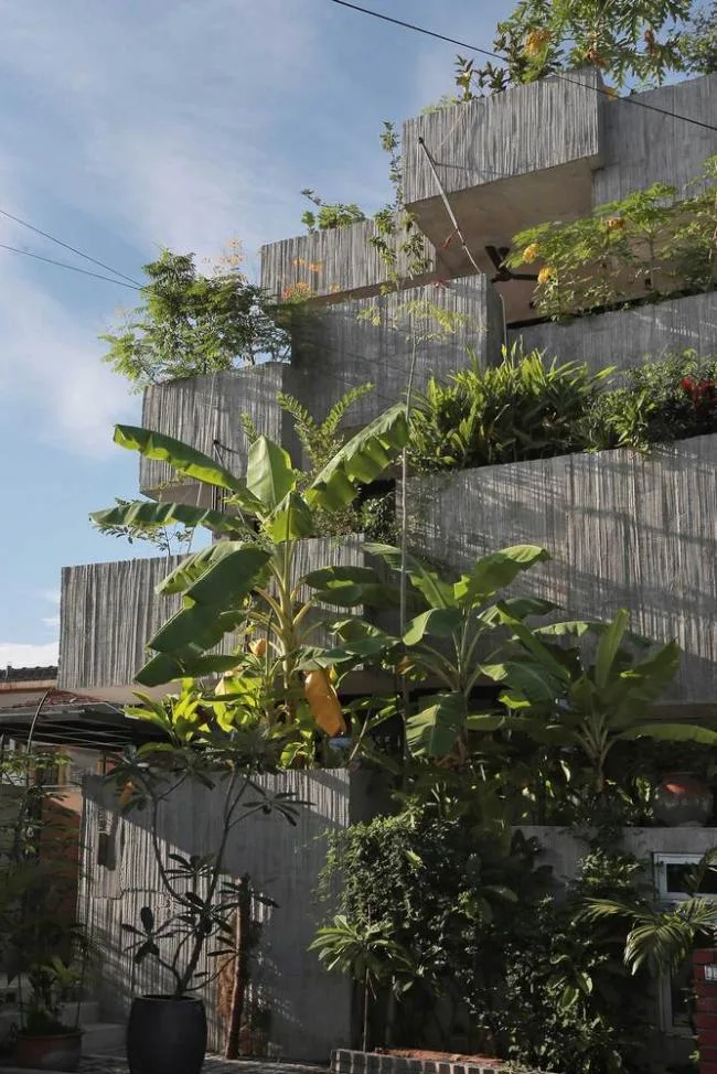 BIM建筑|马来西亚植物盒室第 / Formzero