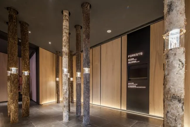 BIM建筑|重庆万科丛林公园发卖展现中间 /LWK + PARTNERS
