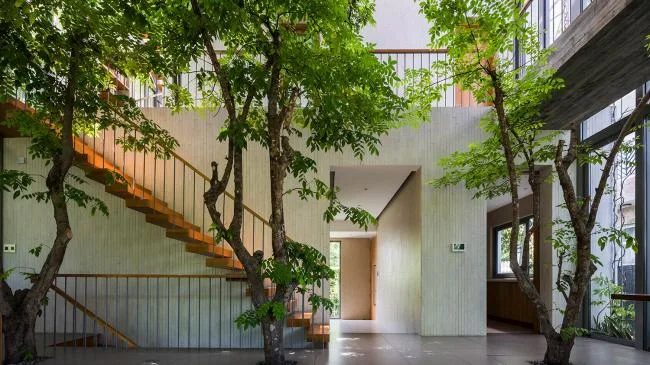 BIM建筑|像植物一样光合感化——盛满阳光与绿意的越南公园室第