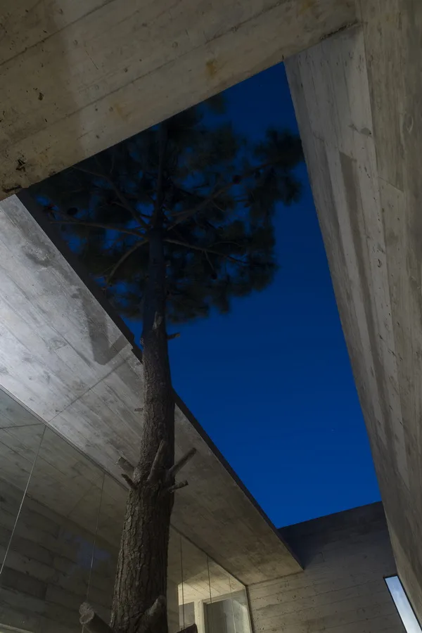 BIM建筑|S+J室第