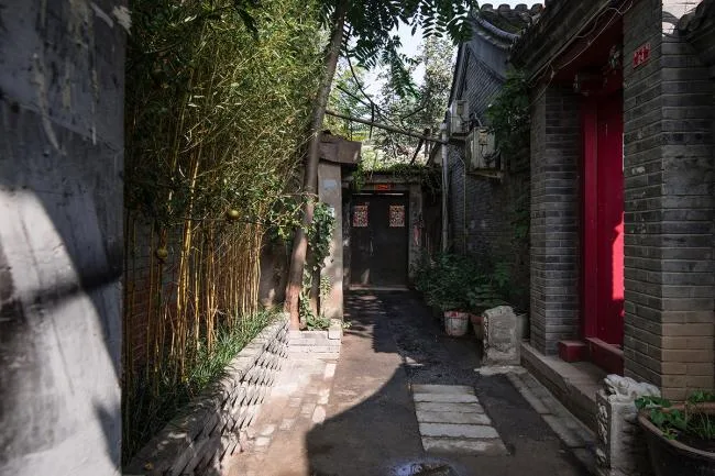 BIM建筑|茶院·草厂北巷24号改革丨兼建筑