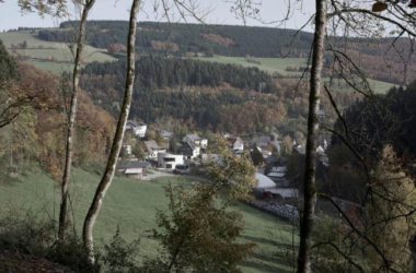 BIM建筑|节能小屋——F别墅 / Christoph Hesse Architects-BIM建筑网