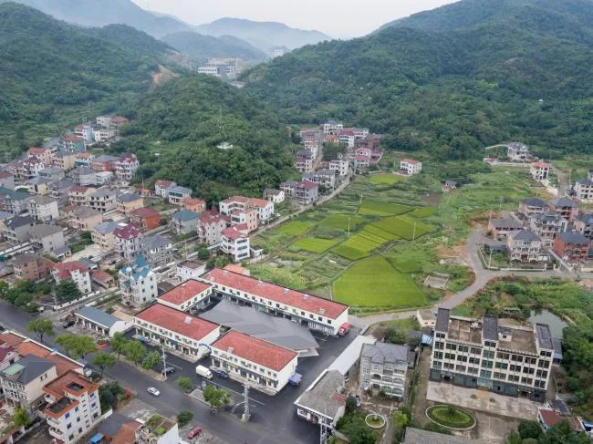 BIM建筑|侠父村农贸市场 / 本构建筑事务所