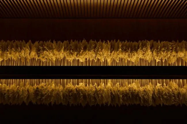 BIM建筑|玑遇SPA / 上海黑泡泡设计团队